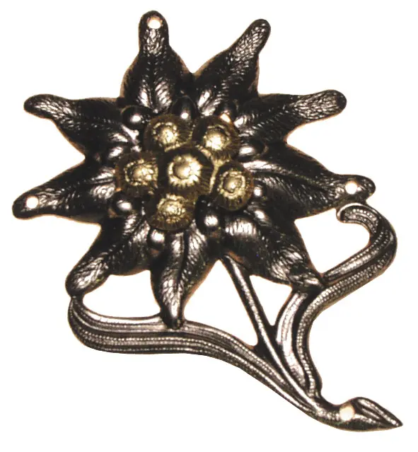 BW Gebirgsjäger-Edelweiß
