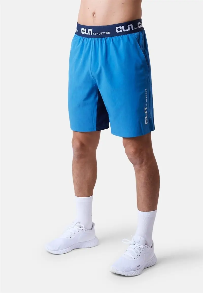 Dino Shorts Herren - blue