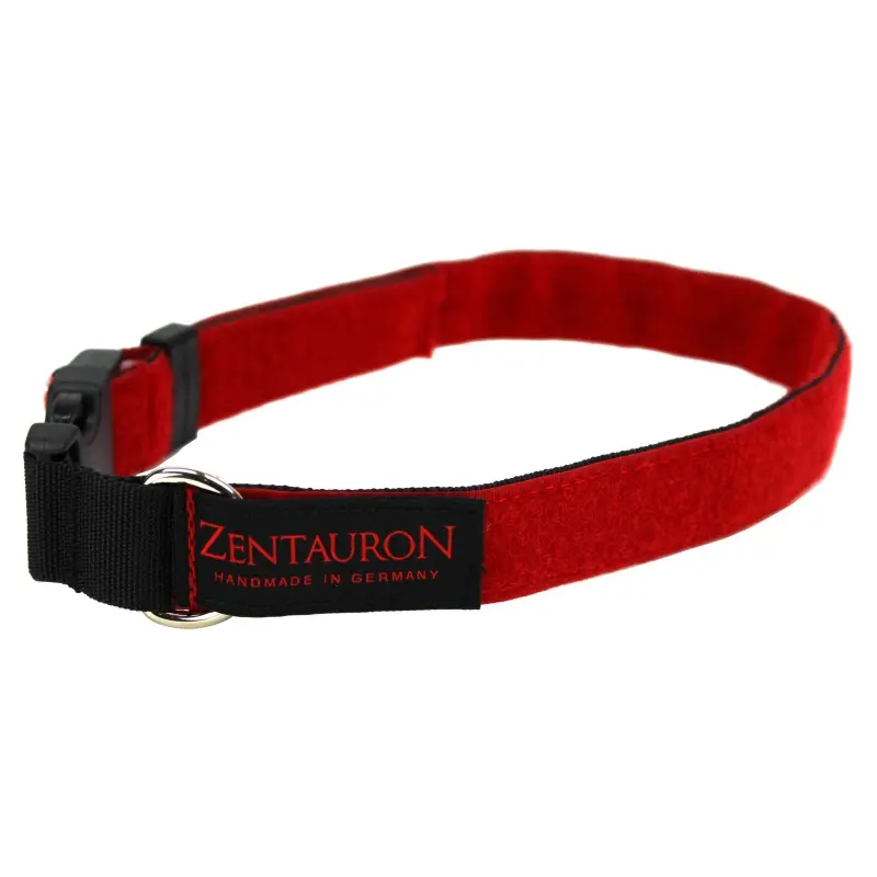 Einsatzhalsband Chester