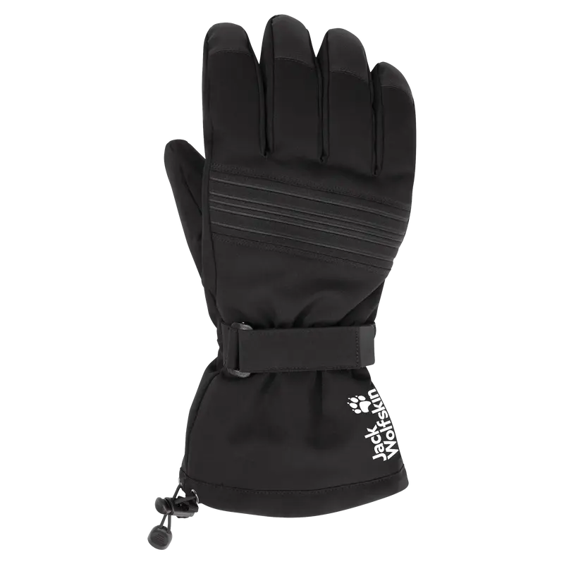INS SKI GLOVE