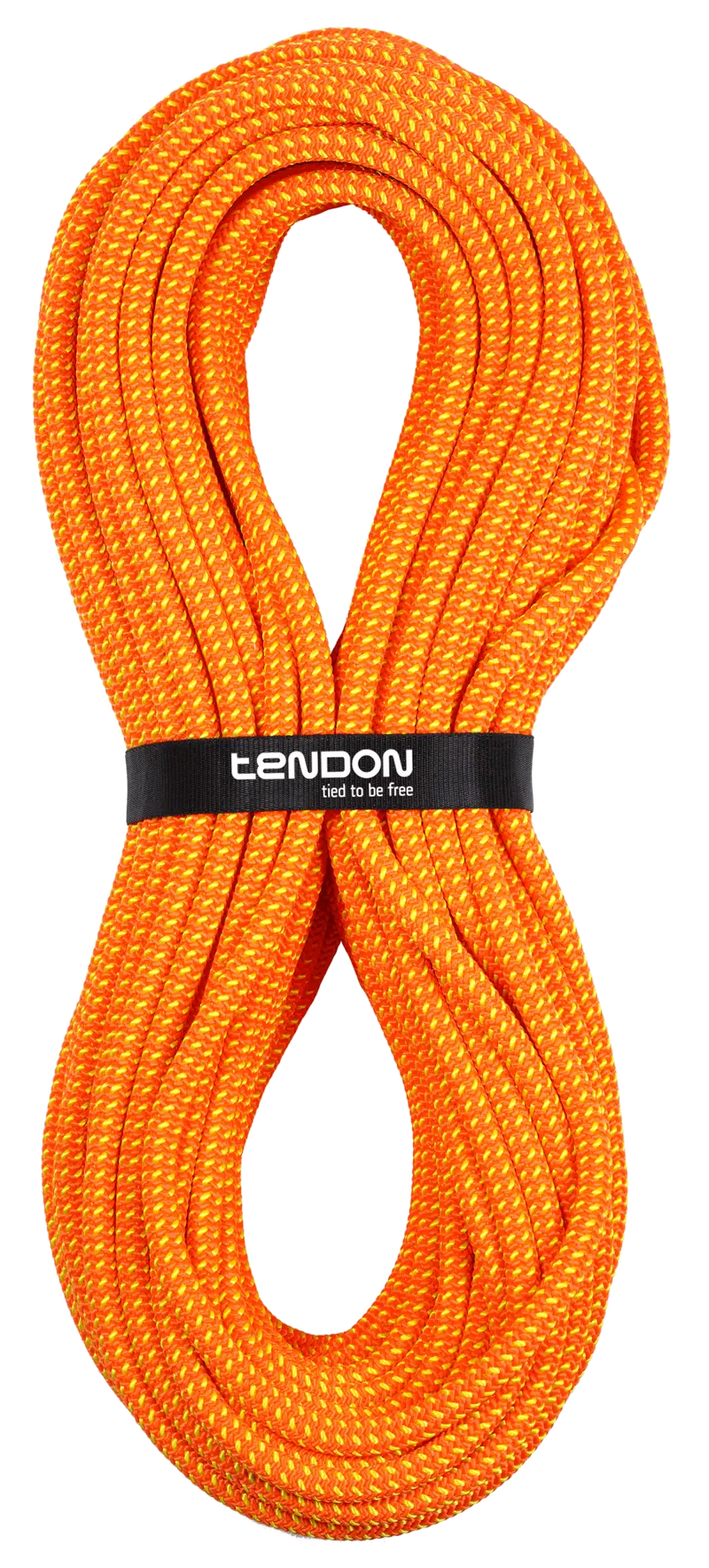 Timber Evo 12.5 Baumpflegeseil